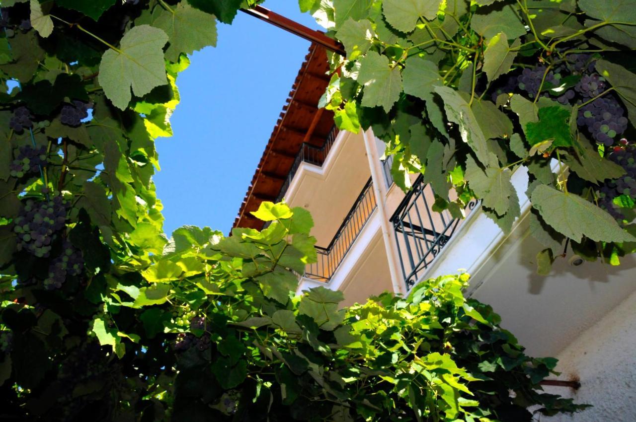Boutique Hotel Parnassia 아라초바 외부 사진
